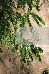 信用卡逾期半年没有额度怎么办