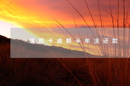 信用卡逾期半年没还款