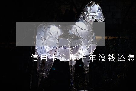 信用卡逾期半年没钱还怎么办