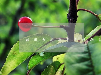 信用卡逾期半年滞纳金怎么算 信用卡逾期半年滞纳金怎么算