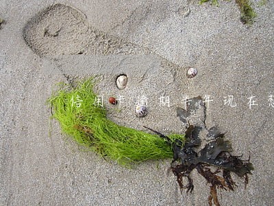 信用卡逾期半年现在想还了 信用卡逾期半年现在想还了