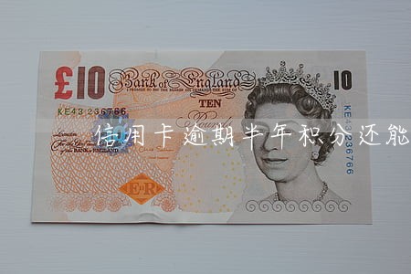 信用卡逾期半年积分还能用吗 信用卡逾期半年积分还能用吗