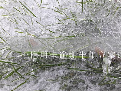 信用卡逾期半年立案过程 信用卡逾期半年立案过程