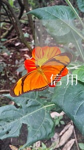 信用卡逾期半年第三方说要起诉 信用卡逾期半年第三方说要起诉