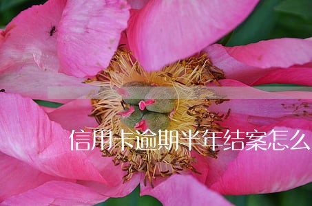 信用卡逾期半年结案怎么回事 信用卡逾期半年结案怎么回事