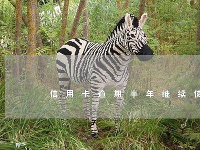 信用卡逾期半年继续使用
