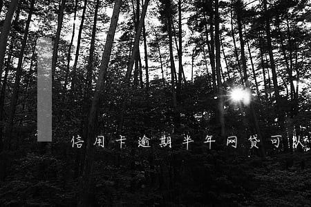 信用卡逾期半年网贷可以吗 信用卡逾期半年网贷可以吗