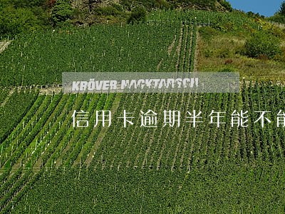 信用卡逾期半年能不能恢复 信用卡逾期半年能不能恢复