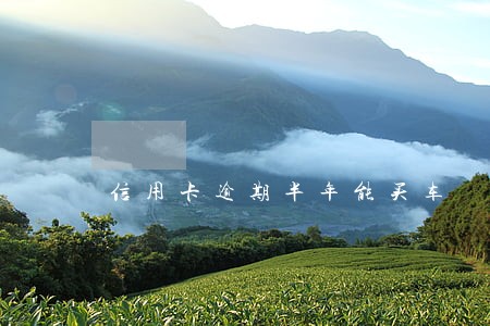 信用卡逾期半年能买车 信用卡逾期半年能买车
