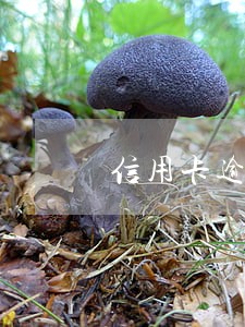 信用卡逾期半年能买飞机票拿 信用卡逾期半年能买飞机票拿