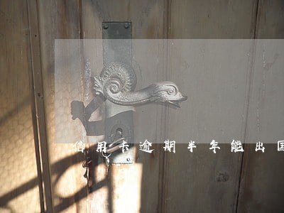 信用卡逾期半年能出国旅游吗 信用卡逾期半年能出国旅游吗
