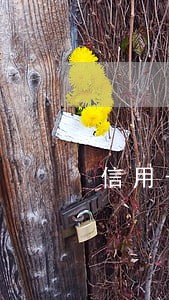 信用卡逾期半年能坐高铁不 信用卡逾期半年能坐高铁不