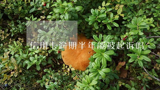 信用卡逾期半年能被起诉吗 信用卡逾期半年能被起诉吗