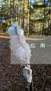 信用卡逾期半年能贷款创业吗