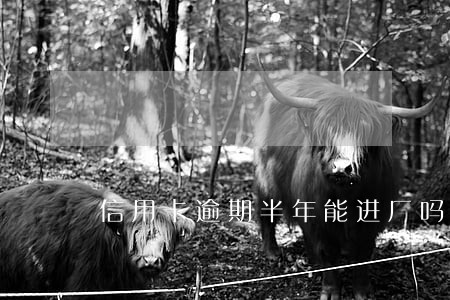信用卡逾期半年能进厂吗 信用卡逾期半年能进厂吗