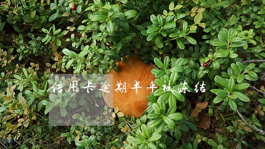 信用卡逾期半年被冻结 信用卡逾期半年被冻结