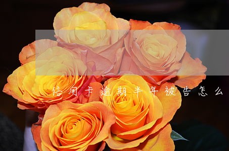 信用卡逾期半年被告怎么处理 信用卡逾期半年被告怎么处理