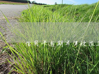 信用卡逾期半年被报案 信用卡逾期半年被报案