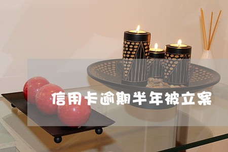 信用卡逾期半年被立案 信用卡逾期半年被立案