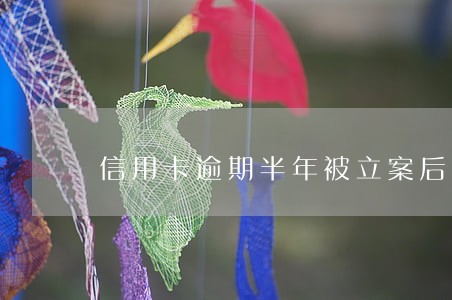 信用卡逾期半年被立案后还了 信用卡逾期半年被立案后还了