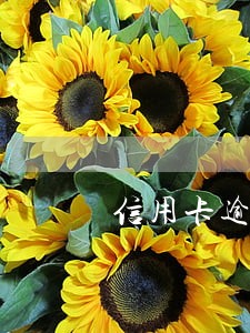 信用卡逾期半年被经侦传唤 信用卡逾期半年被经侦传唤