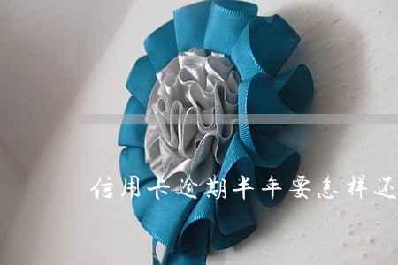 信用卡逾期半年要怎样还 信用卡逾期半年要怎样还