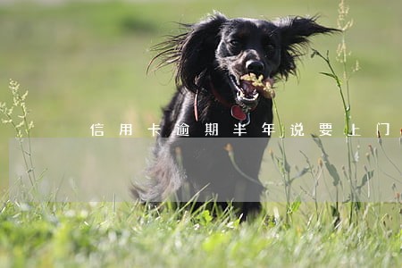 信用卡逾期半年说要上门真的吗 信用卡逾期半年说要上门真的吗