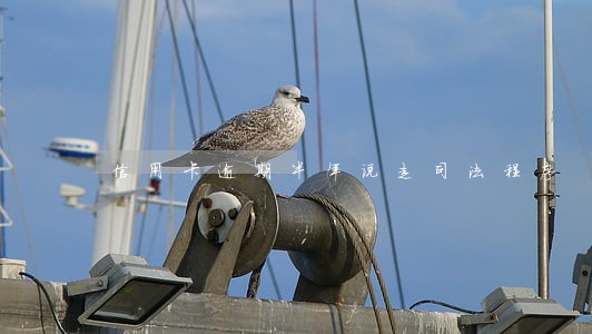信用卡逾期半年说走司法程序
