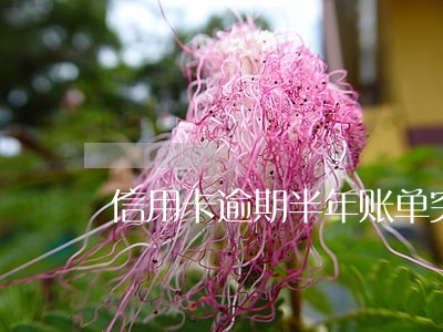 信用卡逾期半年账单突然为0 信用卡逾期半年账单突然为0