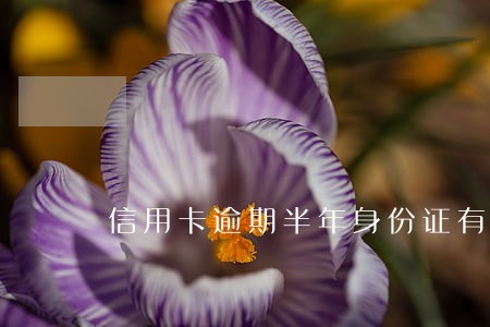 信用卡逾期半年身份证有效吗 信用卡逾期半年身份证有效吗