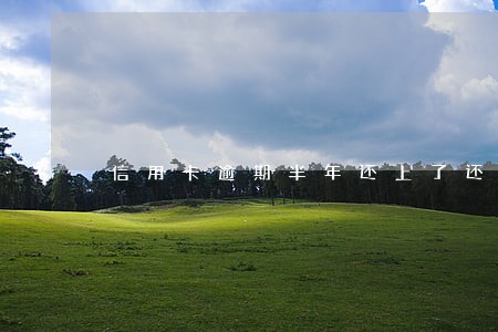 信用卡逾期半年还上了还能用 信用卡逾期半年还上了还能用