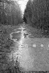 信用卡逾期半年还上还可以用吗 信用卡逾期半年还上还可以用吗