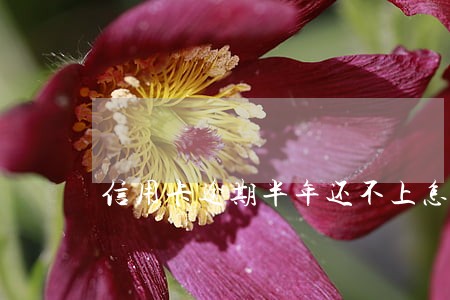 信用卡逾期半年还不上怎么处理 信用卡逾期半年还不上怎么处理