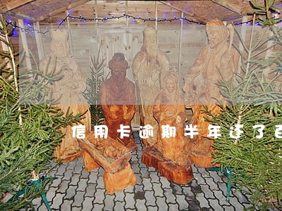 信用卡逾期半年还了百分之 信用卡逾期半年还了百分之