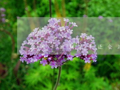 信用卡逾期半年还会上黑名单吗 信用卡逾期半年还会上黑名单吗