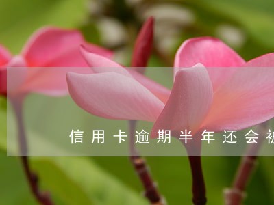 信用卡逾期半年还会被通缉吗