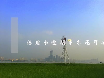 信用卡逾期半年还可以借网贷吗