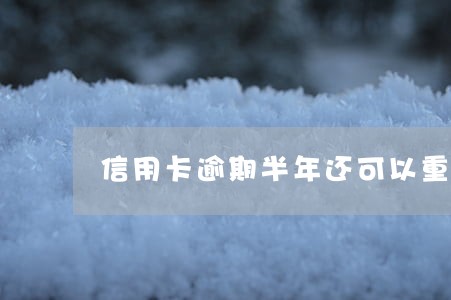 信用卡逾期半年还可以重新办 信用卡逾期半年还可以重新办