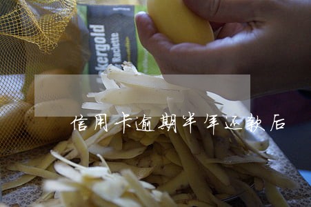 信用卡逾期半年还款后 信用卡逾期半年还款后