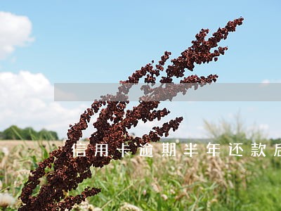 信用卡逾期半年还款后冻结 信用卡逾期半年还款后冻结