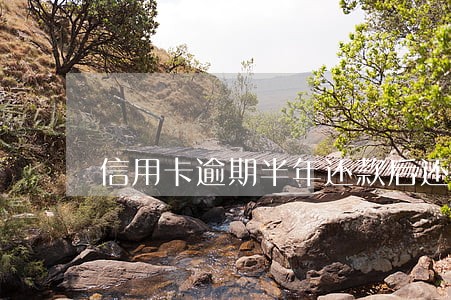 信用卡逾期半年还款后还会怎样 信用卡逾期半年还款后还会怎样