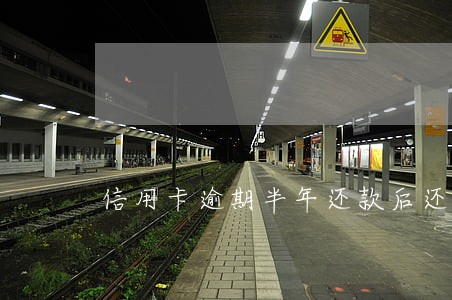 信用卡逾期半年还款后还能办卡吗 信用卡逾期半年还款后还能办卡吗