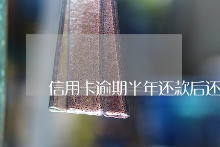 信用卡逾期半年还款后还能办吗 信用卡逾期半年还款后还能办吗