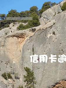 信用卡逾期半年还款怎么还
