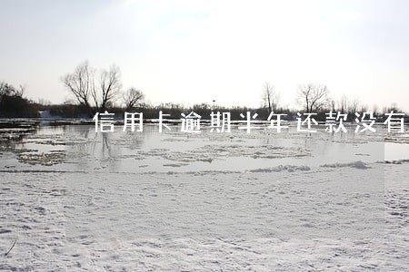 信用卡逾期半年还款没有销卡 信用卡逾期半年还款没有销卡