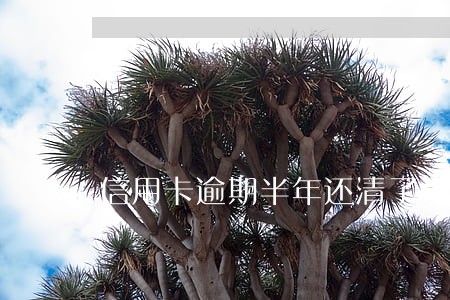 信用卡逾期半年还清了还能再用吗 信用卡逾期半年还清了还能再用吗
