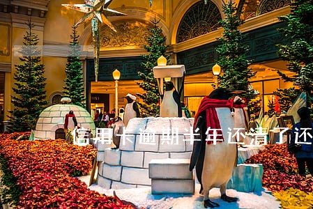 信用卡逾期半年还清了还能用 信用卡逾期半年还清了还能用