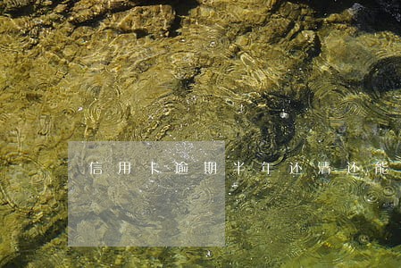 信用卡逾期半年还清还能用吗
