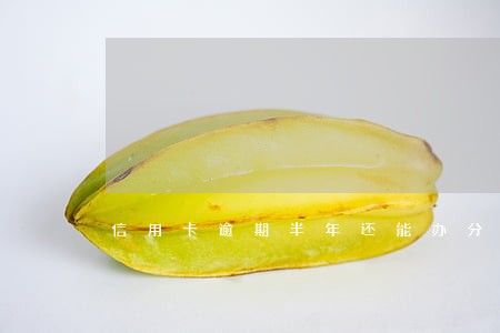 信用卡逾期半年还能办分期吗 信用卡逾期半年还能办分期吗