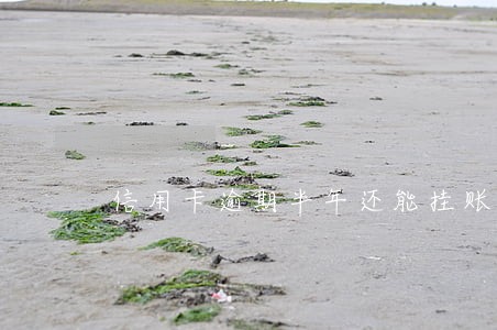 信用卡逾期半年还能挂账不 信用卡逾期半年还能挂账不